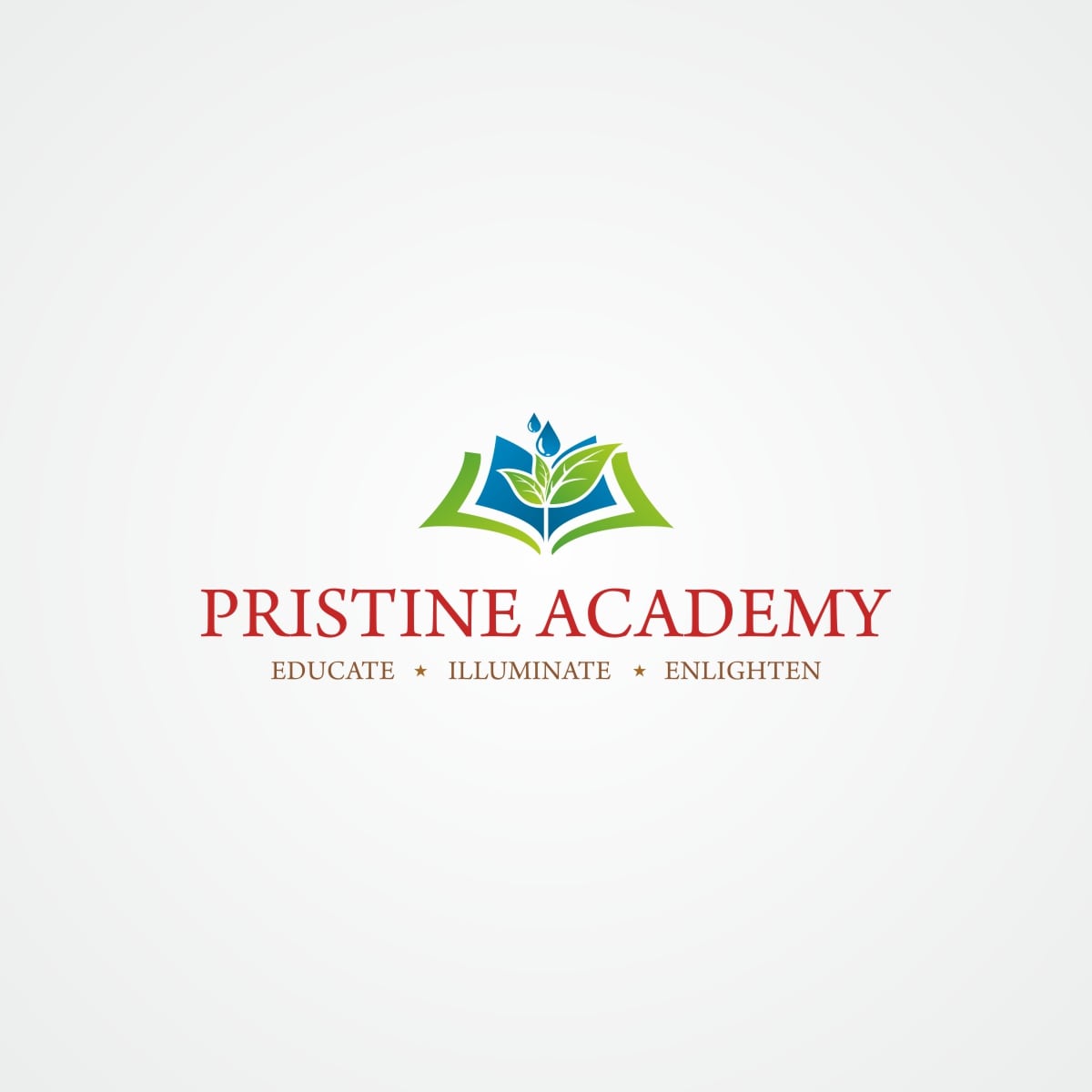 Pristine-Academy