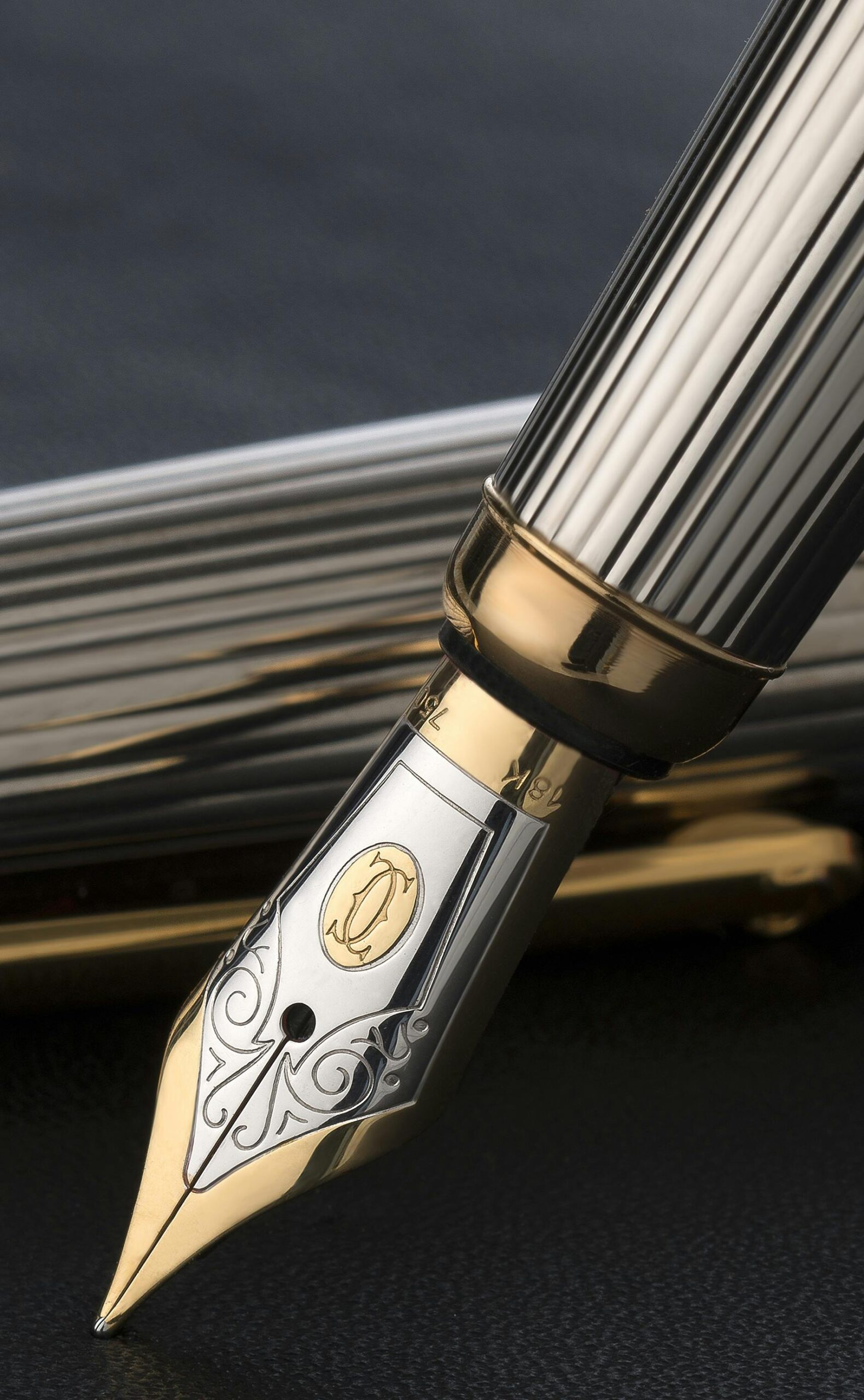 Detailed photograph capturing the elegance and design of a luxury fountain pen nib.